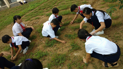 Học sinh vệ sinh chăm sóc cây xanh